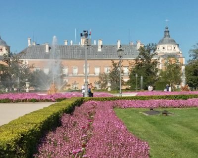 aranjuez flores rosas